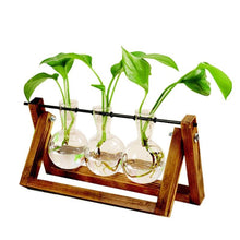 Load image into Gallery viewer, Framed Glass Tabletop Plants Home Decor