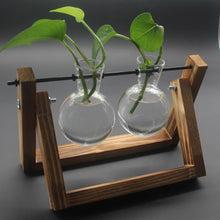 Load image into Gallery viewer, Framed Glass Tabletop Plants Home Decor