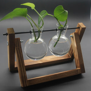 Framed Glass Tabletop Plants Home Decor