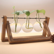 Load image into Gallery viewer, Framed Glass Tabletop Plants Home Decor