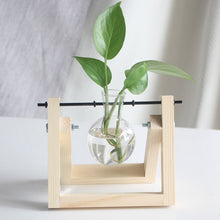 Load image into Gallery viewer, Framed Glass Tabletop Plants Home Decor