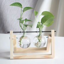 Load image into Gallery viewer, Framed Glass Tabletop Plants Home Decor