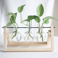 Load image into Gallery viewer, Framed Glass Tabletop Plants Home Decor